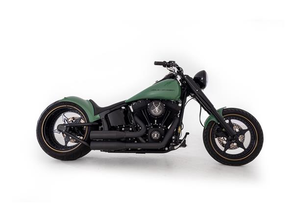 2013 HARLEY-DAVIDSON Softail FLS Softail Slim ABS