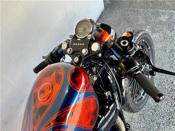 2016 Harley-Davidson Sportster