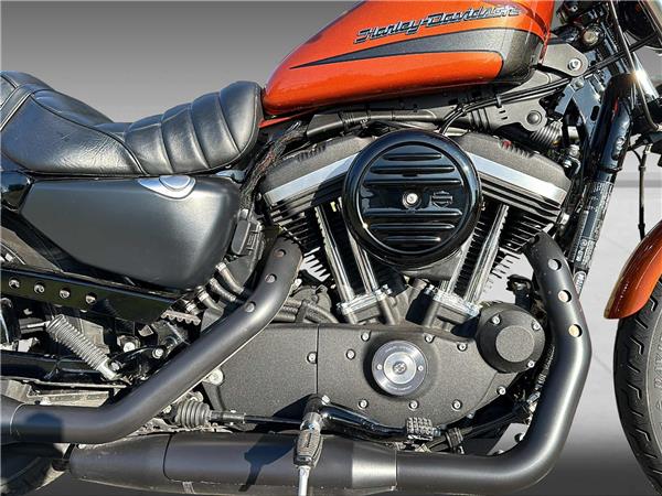 2020 HARLEY-DAVIDSON Sportster XL 883 N Sportster Iron ABS