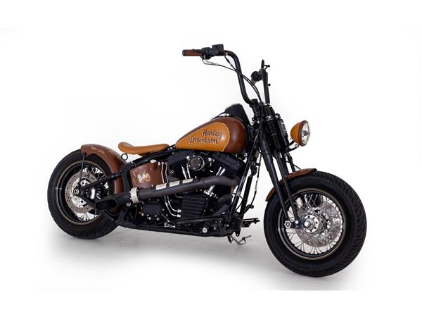 2011 HARLEY-DAVIDSON Softail FLSTSB Cross Bones