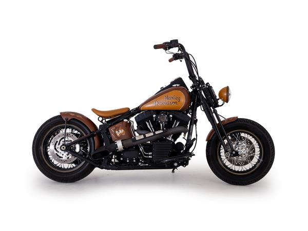 2011 HARLEY-DAVIDSON Softail FLSTSB Cross Bones