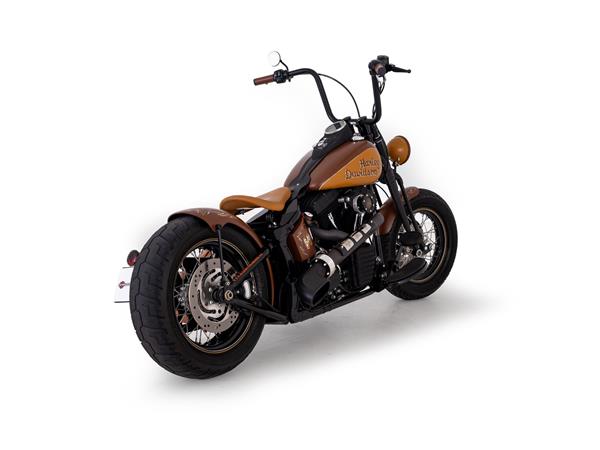 2011 HARLEY-DAVIDSON Softail FLSTSB Cross Bones