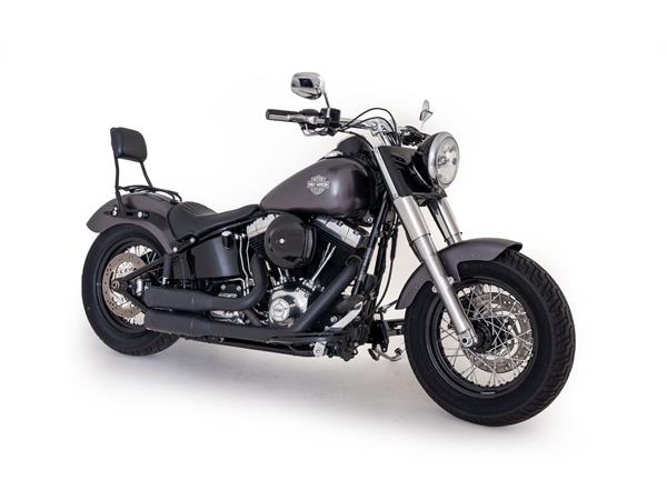 2014 HARLEY-DAVIDSON Softail FLS Softail Slim ABS