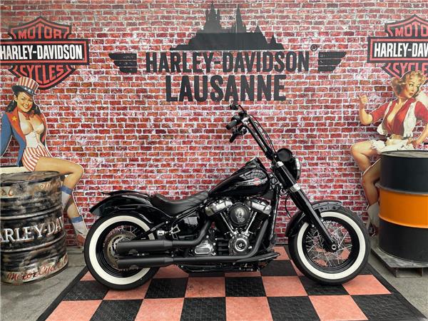 2021 HARLEY-DAVIDSON Softail FLSL Softail Slim 107