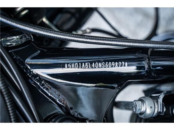 Harley-Davidson Kiel FLHXST STREET GLIDE ST 117 - Kesstech -