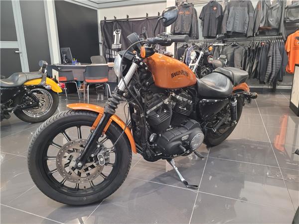 Harley Davidson Sportster IRON 883	