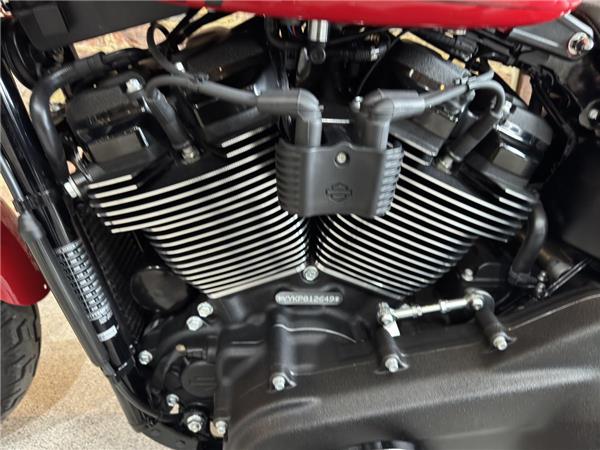 2023 Harley-Davidson Softail