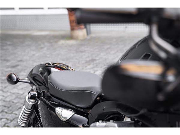 Harley-Davidson Kiel XL1200X SPORTSTER FORTY-EIGHT - BSL ABGASANLAGE