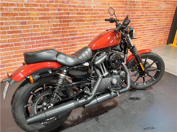 2019 HARLEY-DAVIDSON IRON