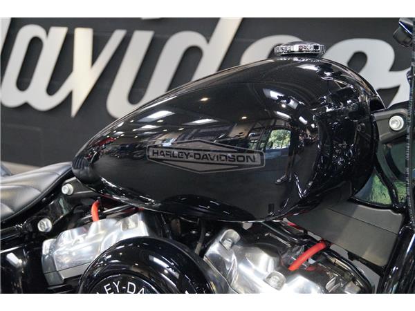 2021 Softail Standard KESS-TECH Auspuff - vorverlegte Fußrastenanlage Soziussitz FXST