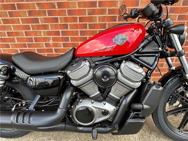 2024 Harley-Davidson RH975 NIGHTSTER