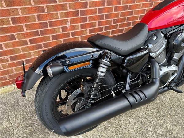 2024 Harley-Davidson RH975 NIGHTSTER