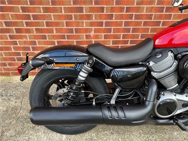 2024 Harley-Davidson RH975 NIGHTSTER