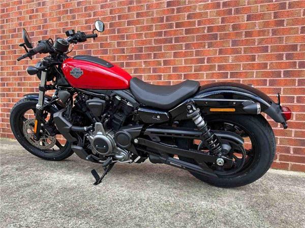 2024 Harley-Davidson RH975 NIGHTSTER