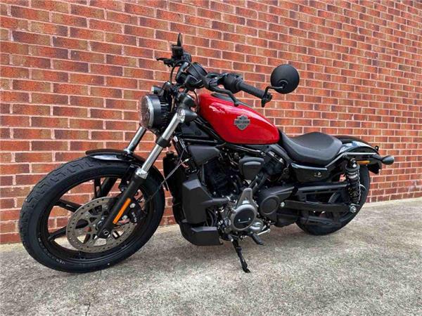 2024 Harley-Davidson RH975 NIGHTSTER