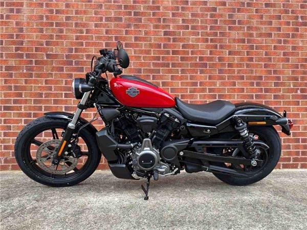 2024 Harley-Davidson RH975 NIGHTSTER