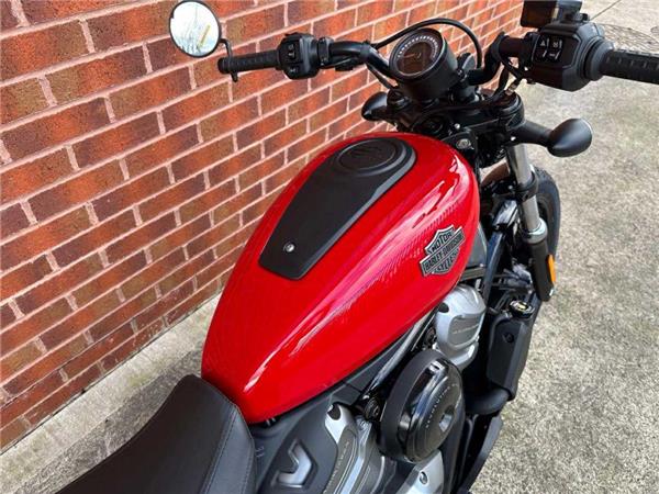 2024 Harley-Davidson RH975 NIGHTSTER