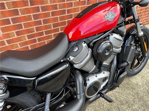 2024 Harley-Davidson RH975 NIGHTSTER