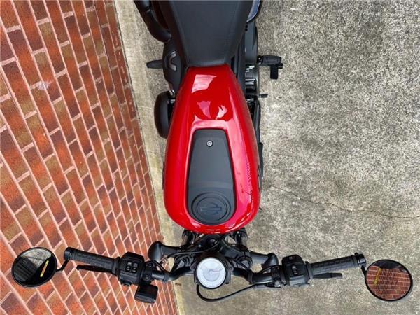 2024 Harley-Davidson RH975 NIGHTSTER