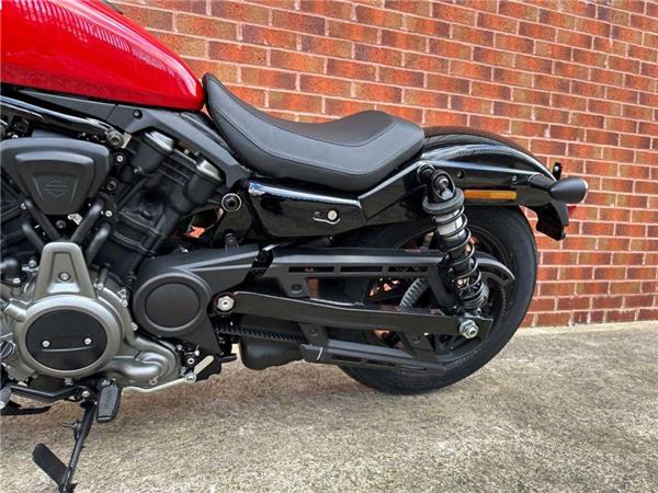 2024 Harley-Davidson RH975 NIGHTSTER