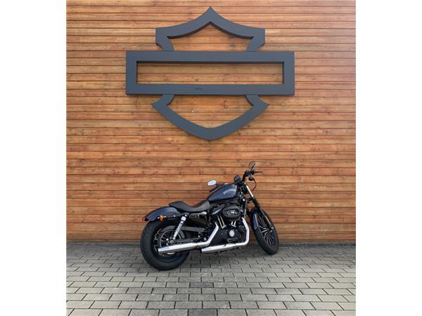 Sportster Iron 883 