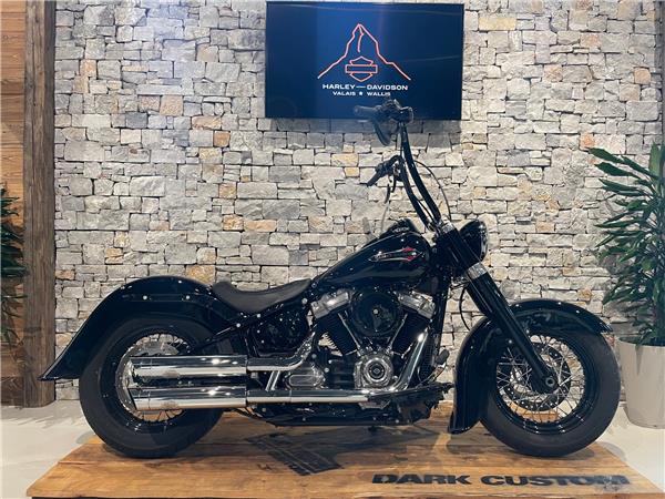 2021 HARLEY-DAVIDSON Softail FLSL Softail Slim 107