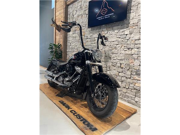 2021 HARLEY-DAVIDSON Softail FLSL Softail Slim 107