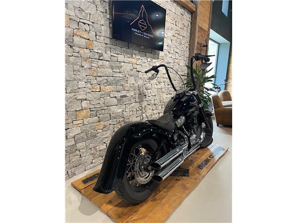 2021 HARLEY-DAVIDSON Softail FLSL Softail Slim 107