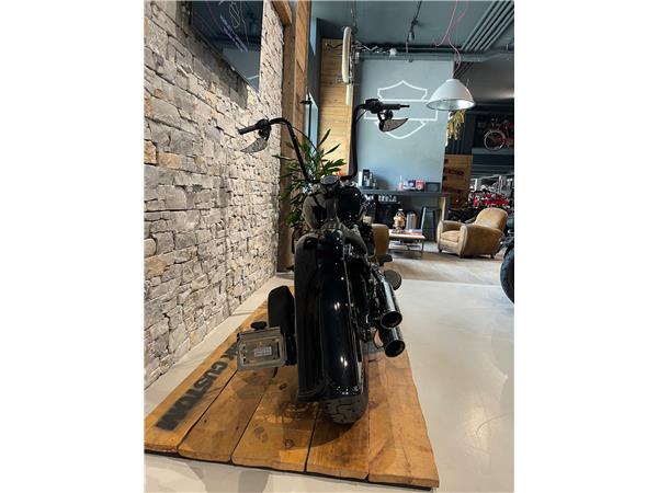 2021 HARLEY-DAVIDSON Softail FLSL Softail Slim 107