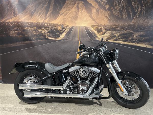 FLS Softail Slim KESSTECH & SONDERLACKIERUNG