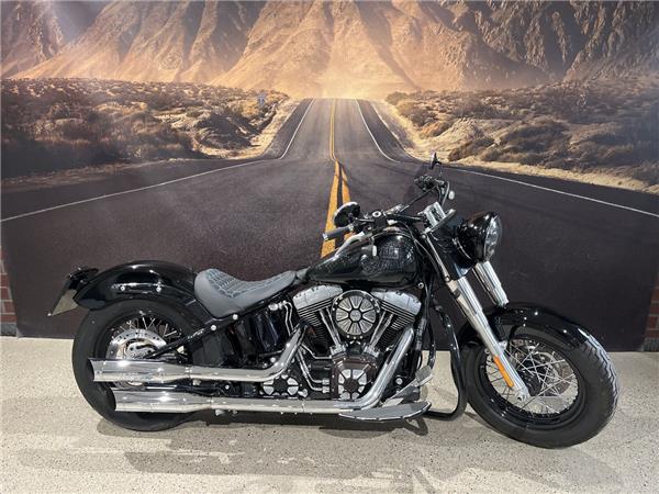 FLS Softail Slim KESSTECH & SONDERLACKIERUNG