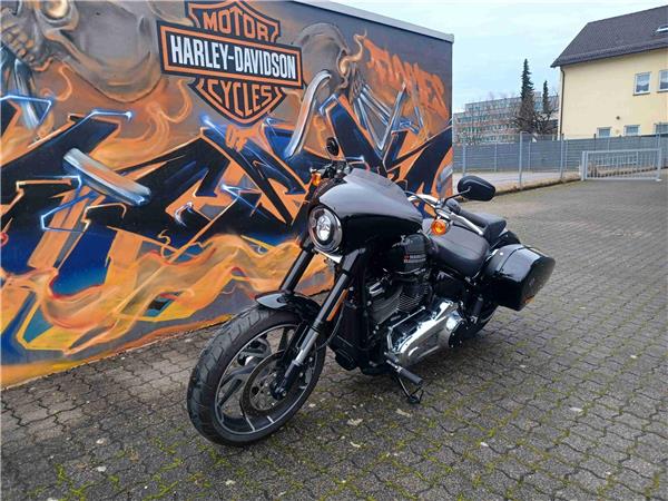 FLSB Sport Glide