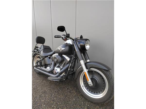 2011 Fat Boy Special 1584