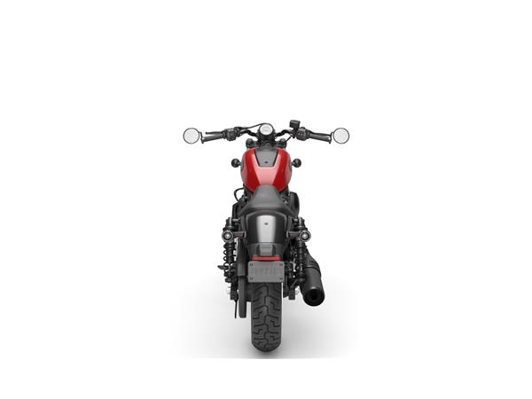 RH975 Sportster Nighster MY23 (mit Tz.)