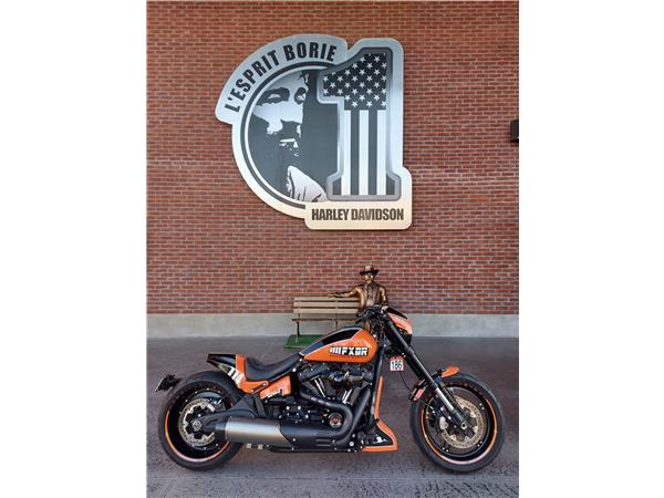 2019 HARLEY-DAVIDSON DESTROYER