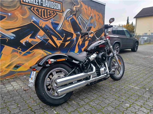 FXST Softail Standard