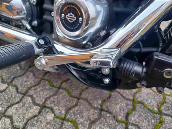 FXST Softail Standard