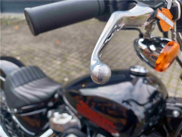 FXST Softail Standard
