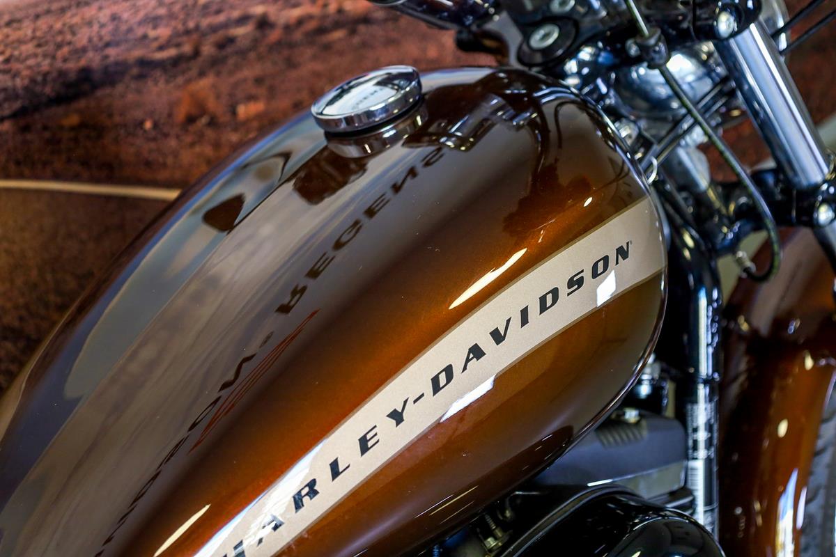 XL 1200 C Custom 