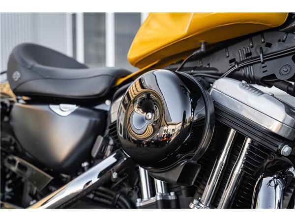 Harley-Davidson Kiel XL1200X SPORTSTER FORTY-EIGHT - Miller -