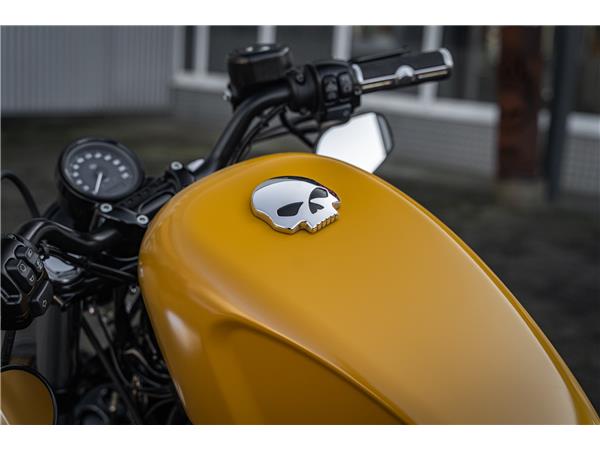 Harley-Davidson Kiel XL1200X SPORTSTER FORTY-EIGHT - Miller -