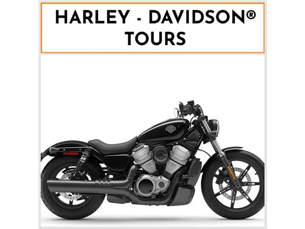 2024 HARLEY-DAVIDSON NIGHTSTER