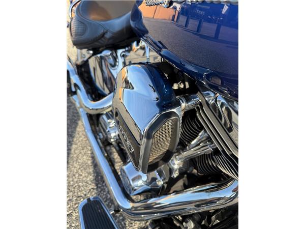 Harley-Davidson Softail FLSTN - Deluxe 