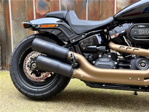 2021 Harley-Davidson Softail
