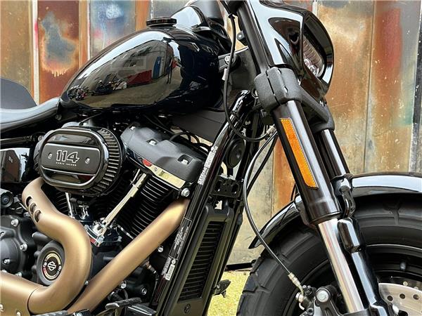 2021 Harley-Davidson Softail