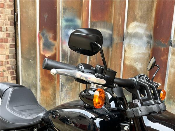 2021 Harley-Davidson Softail