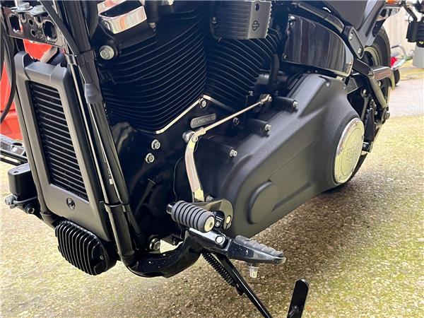 2021 Harley-Davidson Softail