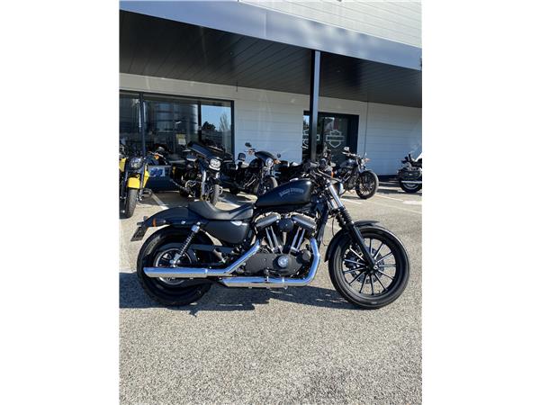 2015 HARLEY-DAVIDSON IRON