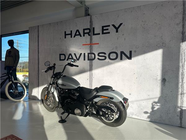 2021 HARLEY-DAVIDSON Softail FXBB 1745 Street Bob 107