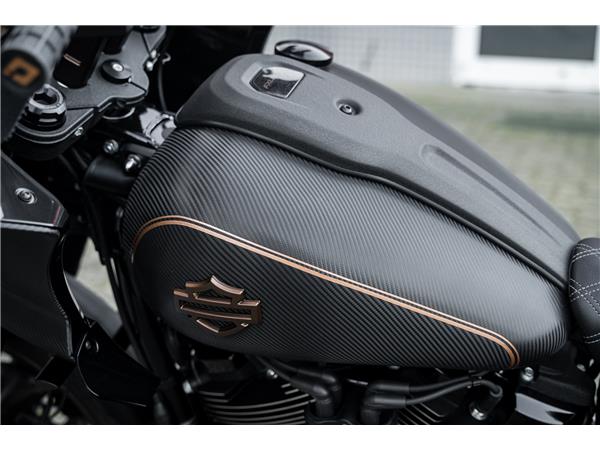 Harley-Davidson FXLRST LOW RIDER ST HeinzBikes x H-D KIEL CARBON